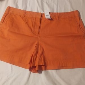 Loft Shorts 4 Inch Inseam